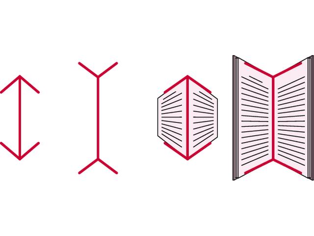 سندرم خطای ادراکی منسانی